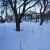 IMGP7643 - копия