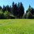 SAM_3283